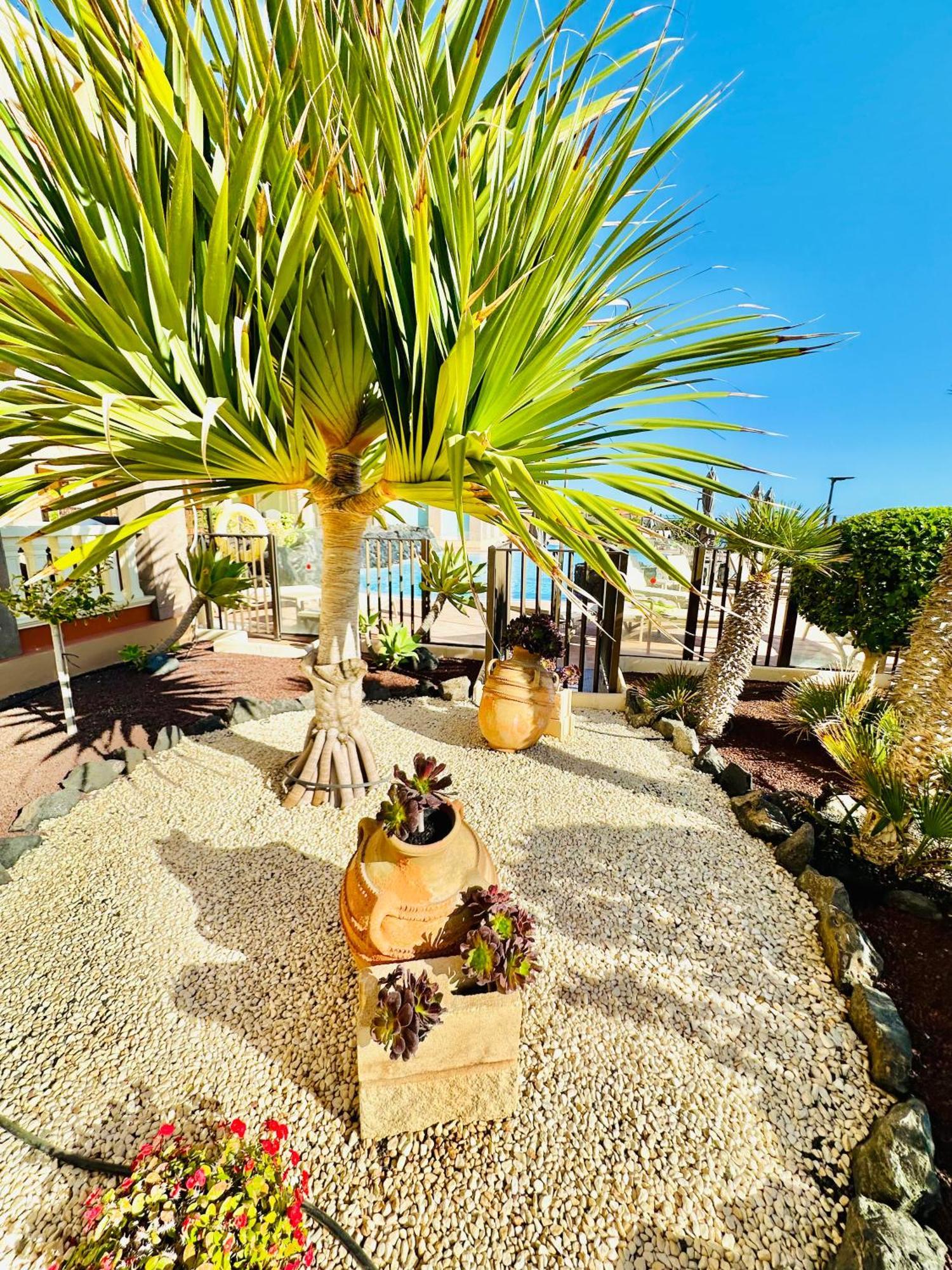 El Nautico Apartment San Miguel de Abona Exterior foto
